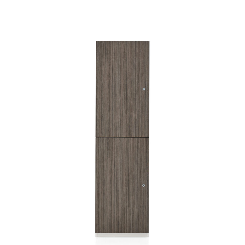 2-door laminate locker unit in gray finish