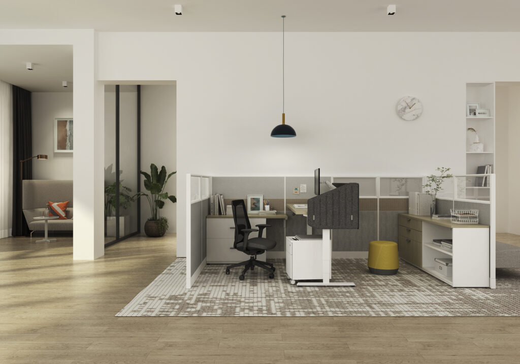 Friant Novo focus screen configuration